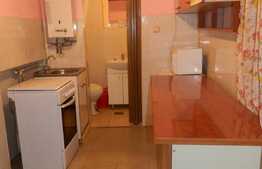 De inchiriat garsoniera, 30 mp, imobil de tip casa-vila, zona UMF