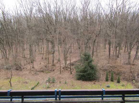 Apartament de vânzare 4 camere Manastur - 30379AV | BLITZ Cluj-Napoca | Poza12