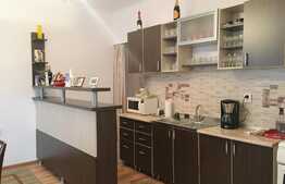 Casa individuala 212 mp utili, compusa din 2 apartamente de 4 camere, teren de 250 mp, zona Podului IRA