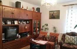 Casa individuala 212 mp utili, compusa din 2 apartamente de 4 camere, teren de 250 mp, zona Podului IRA