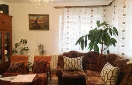 Casa individuala 212 mp utili, compusa din 2 apartamente de 4 camere, teren de 250 mp, zona Podului IRA