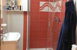 Casa individuala 212 mp utili, compusa din 2 apartamente de 4 camere, teren de 250 mp, zona Podului IRA