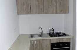 De inchiriat garsoniera, 26 mp, zona UMF