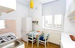 Studio 32 mp, parcare, zona Bulevardului 21 Decembrie 1989 