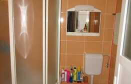 Apartament 1 camera, 40 mp, decomandat, zona strazii Oltului