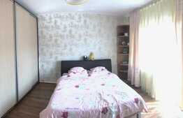 Apartament cu 1 camera, cu compartimentare decomandata, zona Nora
