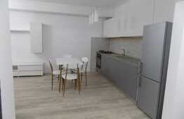 Apartament de inchiriat, 2 camere, 57 mp, zona strazii Porii!