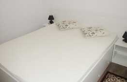 Apartament 2 camere, 40 mp, mobilat modern, zona Facultatii de Litere 