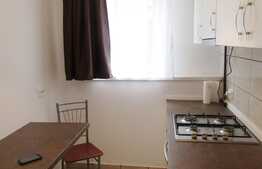 Apartament 2 camere, 40 mp, mobilat modern, zona Facultatii de Litere 