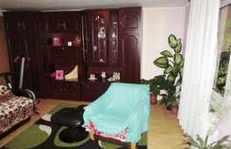 Casa individuala cu 7 camere, 200 mp utili, teren de 550 mp! Zona strazii Tineretului! 