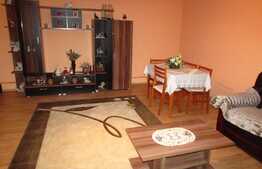 Casa individuala cu 7 camere, 200 mp utili, teren de 550 mp! Zona strazii Tineretului! 