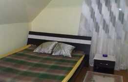 Casa individuala cu 7 camere, 200 mp utili, teren de 550 mp! Zona strazii Tineretului! 