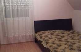 Casa individuala cu 7 camere, 200 mp utili, teren de 550 mp! Zona strazii Tineretului! 