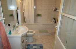 Casa individuala cu 7 camere, 200 mp utili, teren de 550 mp! Zona strazii Tineretului! 