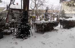 Vanzare casa individuala, 201 mp utili, teren de 989 mp! Zona de case!