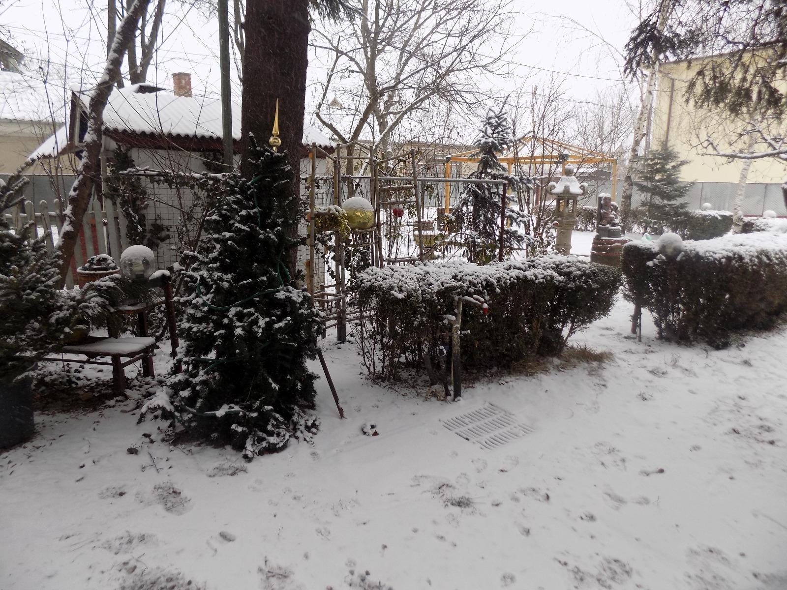 Casa de vânzare 6 camere Floreşti - 30448CV | BLITZ Cluj-Napoca | Poza15