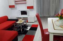 Garsoniera spatioasa, 43 mp, decomandata, zona Iulius Mall