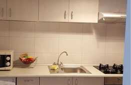 Garsoniera spatioasa, 43 mp, decomandata, zona Iulius Mall