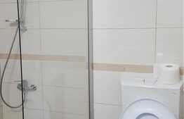 Garsoniera spatioasa, 43 mp, decomandata, zona Iulius Mall