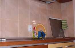 Apartament cu finisaje de lux, in zona Iulius Mall, in cartierul Gheorgheni!