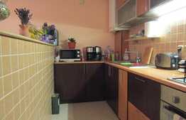 De vanzare apartament cu 3 camere, 65 mp, boxa, zona strazii Tatra