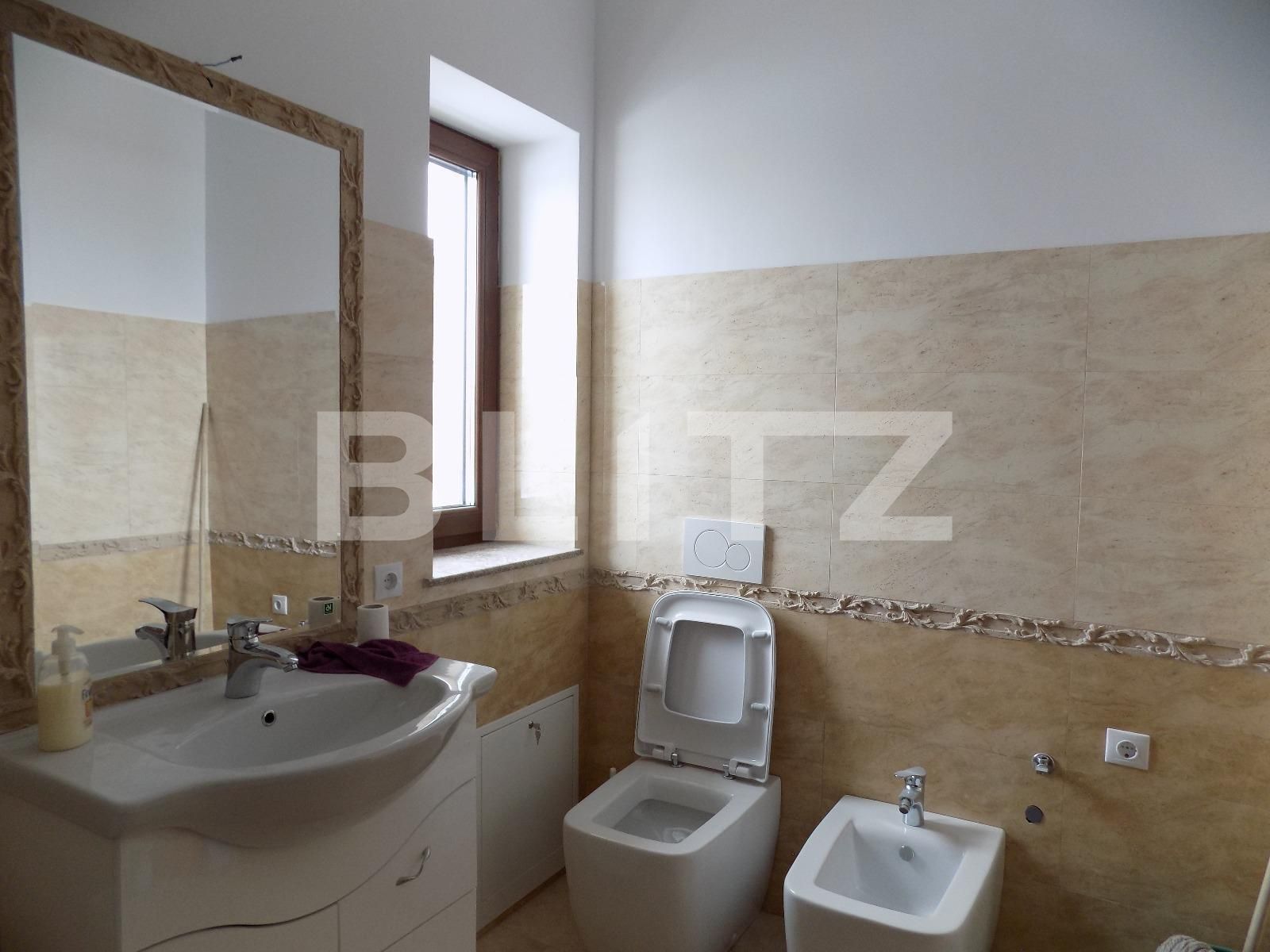 Spațiu birouri de închiriat Andrei Mureşanu - 30471SIB | BLITZ Cluj-Napoca | Poza15