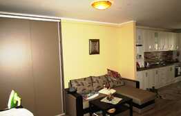De vanzare apartament cochet, 2 camere, 49 mp! Zona strazii Sesul de Sus!