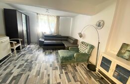 Apartament 1 camera, 52 mp, decomandat, zona Parcul Central