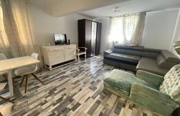 Apartament 1 camera, 52 mp, decomandat, zona Parcul Central