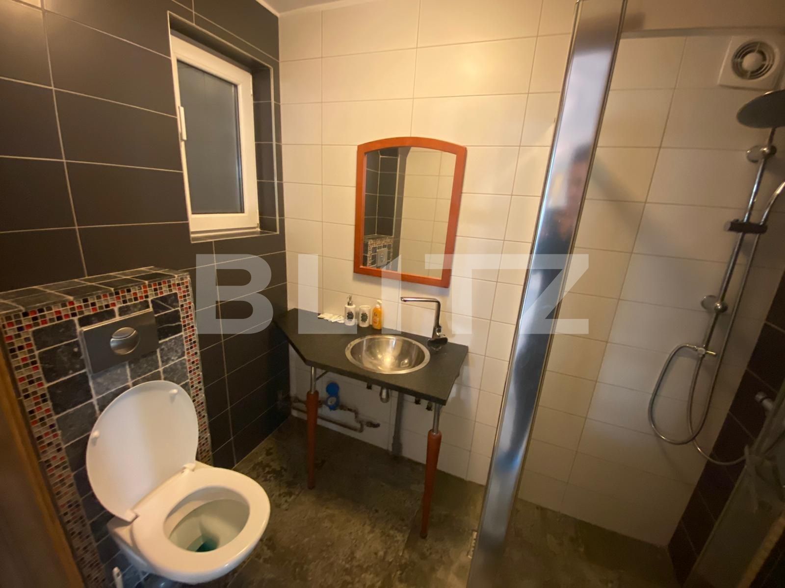 Garsonieră de închiriat Central - 30491AI | BLITZ Cluj-Napoca | Poza10