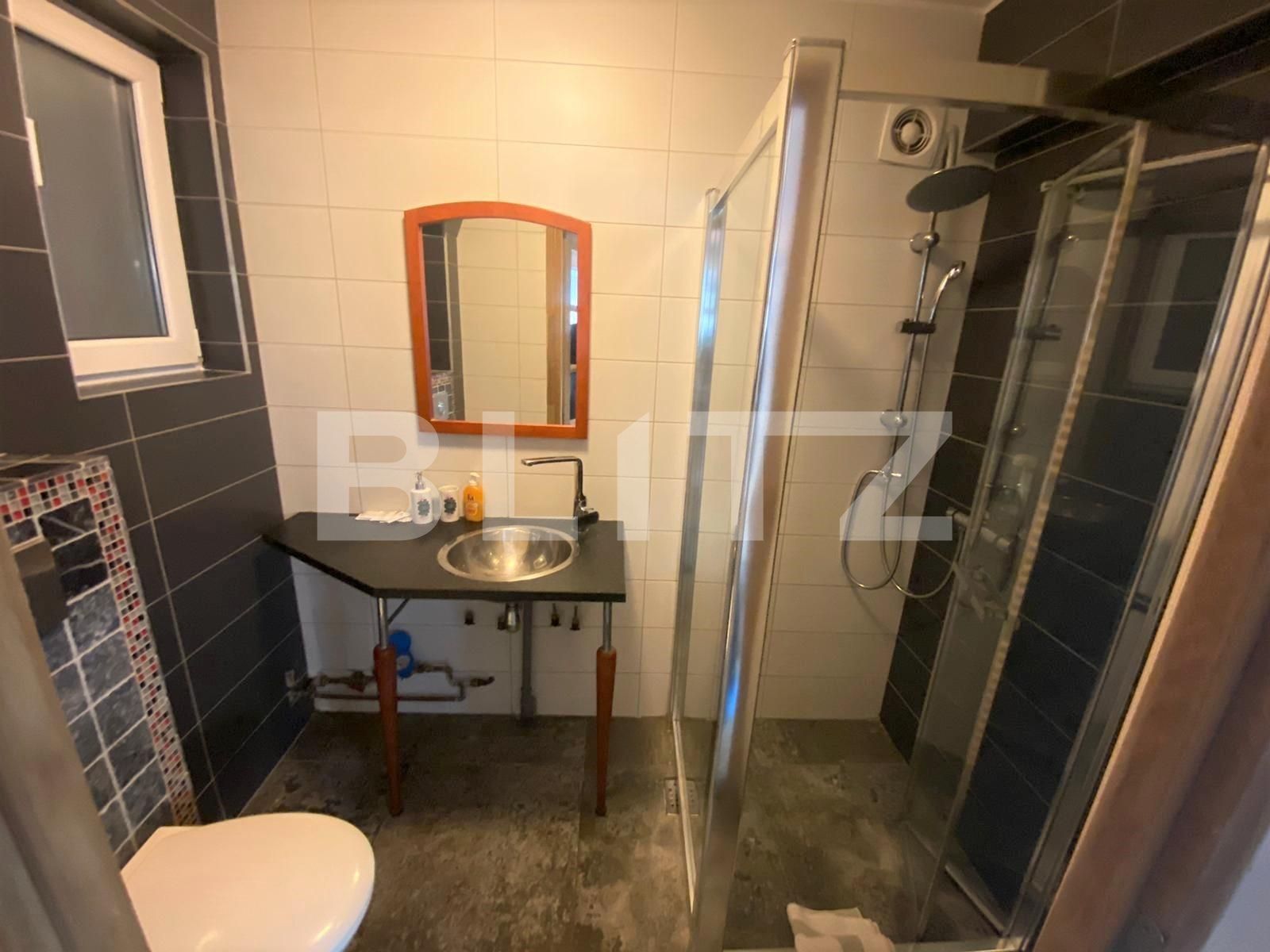 Garsonieră de închiriat Central - 30491AI | BLITZ Cluj-Napoca | Poza9