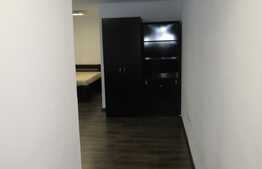 Apartament 1 camera, 45mp  zona Parcul Central