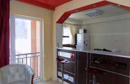 De inchiriat apartament de tip studio, 50 mp, prima inchiriere, zona strazii Plopilor