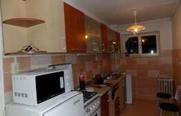 Apartament 3 camere, 45 mp, balcon, zona Facultatii Bogdan Voda