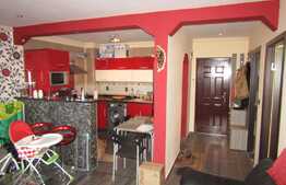 Apartament de vanzare 2 camere, 44 mp, decomandat! Zona strazii Teilor!