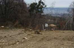 Vanzare teren 903 mp, utilitati la front, Autorizatie de Constructie, zona linistita