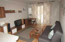 Apartament de vanzare 2 camere, 50 mp utili, loc de parcare cu CF, zona Porii!