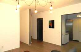 Apartament 2 camere, 55 mp, zona strazii Eremia Grigorescu