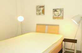 Apartament 2 camere, 55 mp, zona strazii Eremia Grigorescu