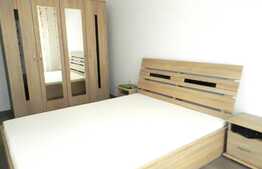 Apartament 2 camere, 55 mp, decomandat, garaj, zona strazii Eugen Ionesco