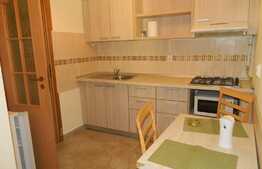 Garsoniera, 30 mp, decomandata, zona Piata Muzeului