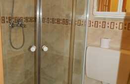 Garsoniera, 30 mp, decomandata, zona Piata Muzeului