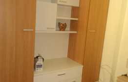 Garsoniera, 30 mp, decomandata, zona Piata Muzeului