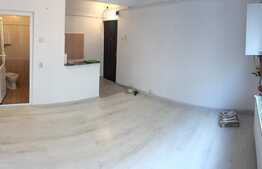 Garsoniera 19 mp, boxa la subsol, zona strazii Calea Floresti