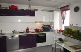 De vanzare 2 camere, 48 mp, gradina de 30 mp! Zona strazii Cetatii!