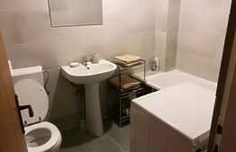 Garsoniera, decomandata, 34 mp, mobilata modern, A.C., zona strazii Frunzisului