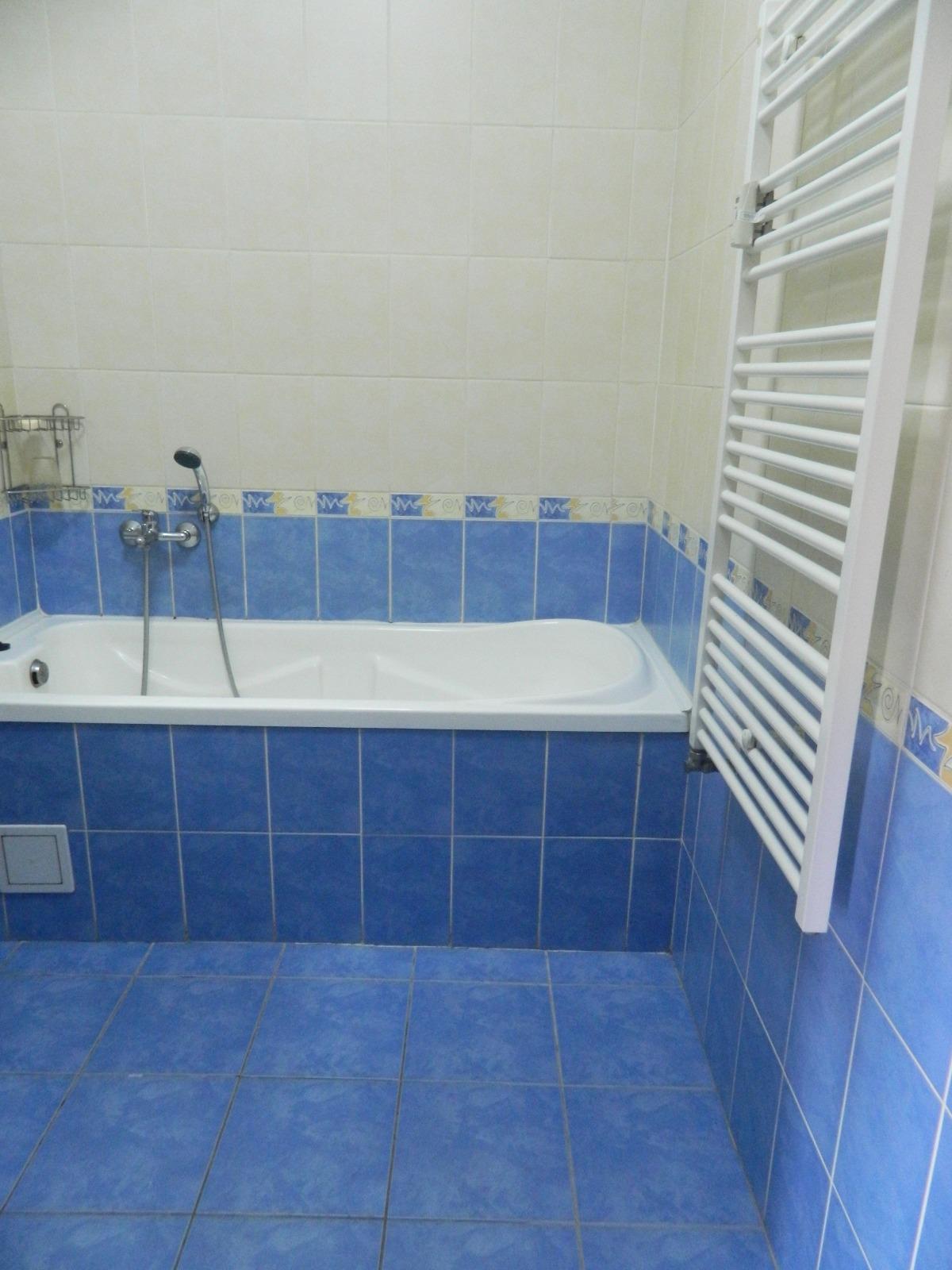 Garsonieră de închiriat Dambul Rotund - 30608AI | BLITZ Cluj-Napoca | Poza8