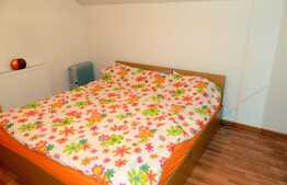 De inchiriat casa 148 mp, teren 360, front 10 ml, zona Auchan