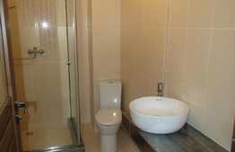 Apartament 2 camere, 62 mp, terasa 15 mp, prima inchiriere, zona USAMV