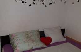 Apartament 2 camere, 40 mp, decomandat, zona strazii Mehedinti